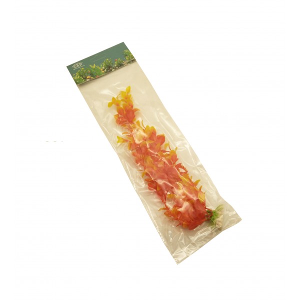 ΔΙΑΚΟΣΜΗΤΙΚΟ ΦΥΤΟ ΕΝΥΔΡΕΙΟΥ ΔΙΑΦΟΡΑ ΣΧΕΔΙΑ